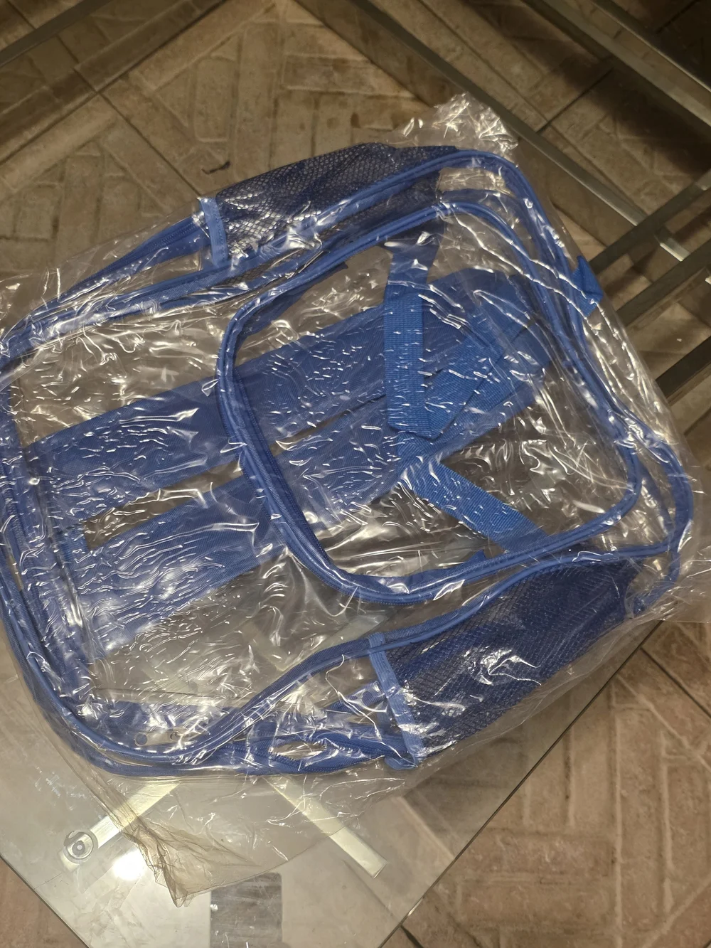 Clear Blue-Trim Women’s Transparent Tote Bag Unisex